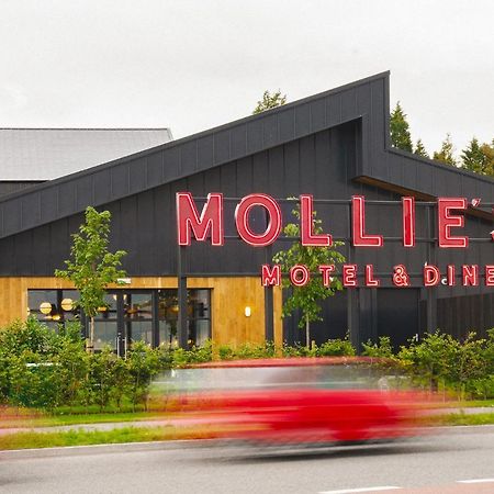 Mollie'S Motel & Diner Bristol Filton Экстерьер фото