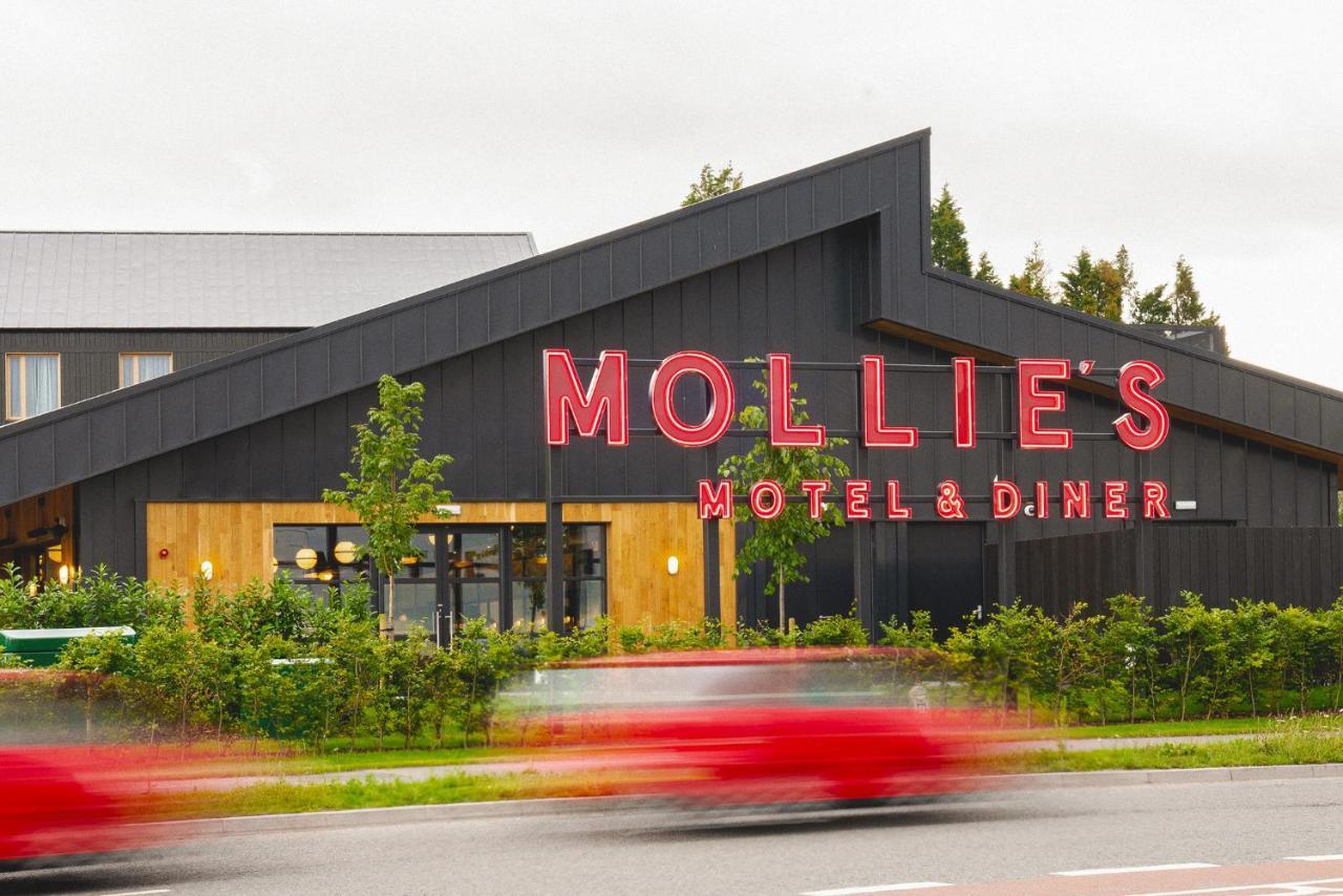 Mollie'S Motel & Diner Bristol Filton Экстерьер фото